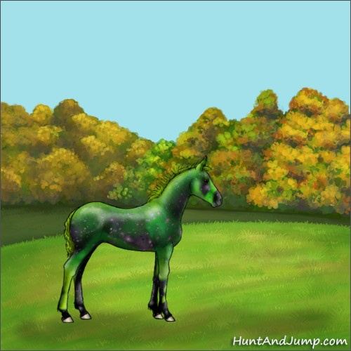 Horse Color:ERROR: UNKNOWN ANOMALY