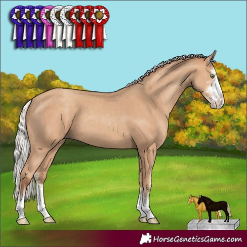 Horse Color:Silver Classic Champagne Sabino 