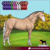 Horse Color:Silver Classic Champagne Sabino 