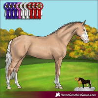 Horse Color:Silver Classic Champagne Sabino 