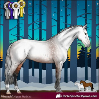 Horse Color:Gray Bay 