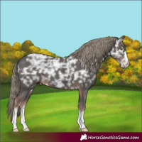 Horse Color:Liver Chestnut Ice Mushroom 