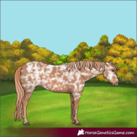 Horse Color:Chestnut Ice 