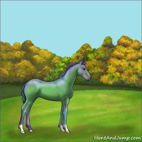 Horse Color:Watercolor Chocolate Bay 
