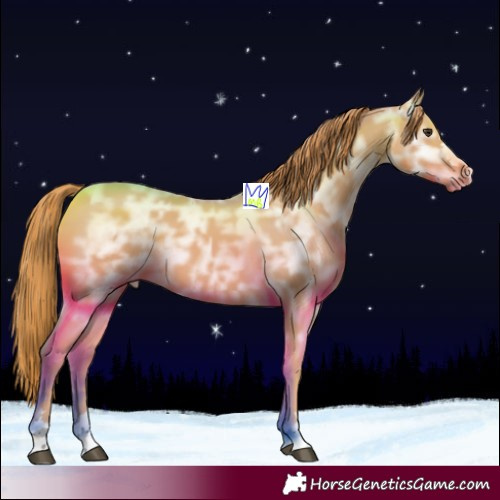 Horse Color:Chestnut Ice 