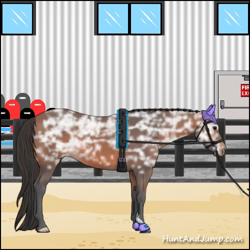 Horse Color:Bay Ice 