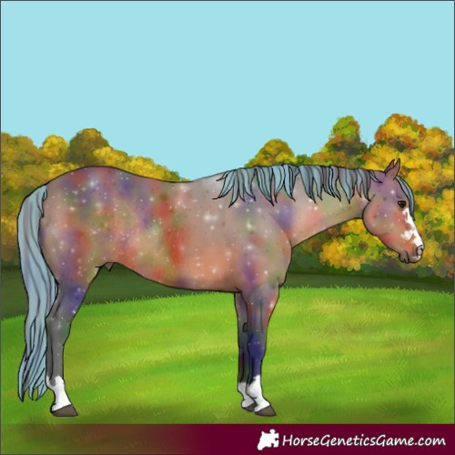 Horse Color:Painted Nacre Brown Rabicano