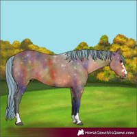 Horse Color:Painted Nacre Brown Rabicano 