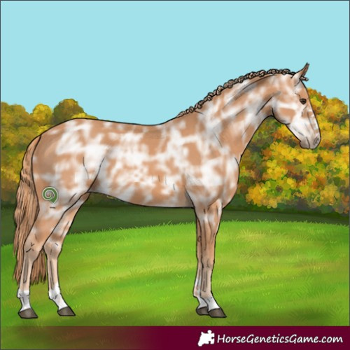 Horse Color:Chestnut Ice 