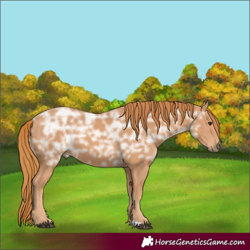 Horse Color:Chestnut Ice 