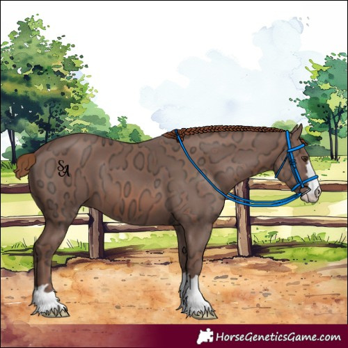 Horse Color:Chestnut Ice 