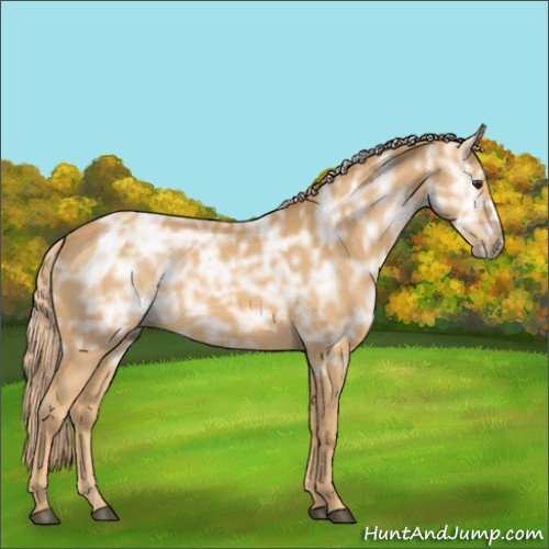Horse Color:Palomino Ice 