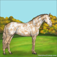 Horse Color:Palomino Ice 
