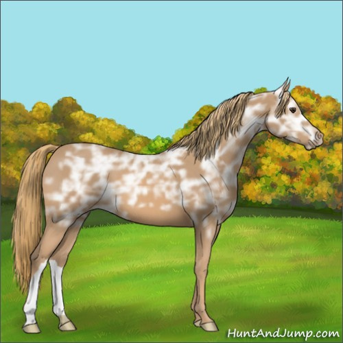 Horse Color:Chestnut Ice 