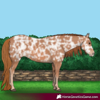 Horse Color:Chestnut Ice 