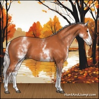 Horse Color:White Spotted Silver Bay Splash 