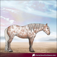 Horse Color:Silver Bay Ice Roan 