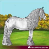 Horse Color:White Spotted Silver Blue Onyx Chinchilla Ice 