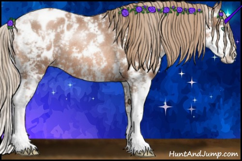 Horse Color:Liver Chestnut Pearl Sabino Blanket Rabicano 