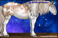 Horse Color:Liver Chestnut Pearl Sabino Appaloosa Rabicano