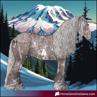 Horse Color:White Spotted Chocolate Silver Black Chinchilla Ice Sabino Rabicano