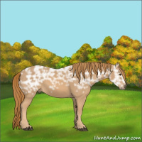 Horse Color:Chestnut Ice 