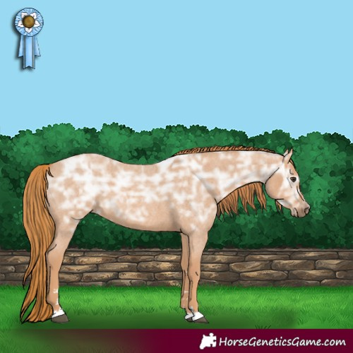Horse Color:Red Ice Roan 