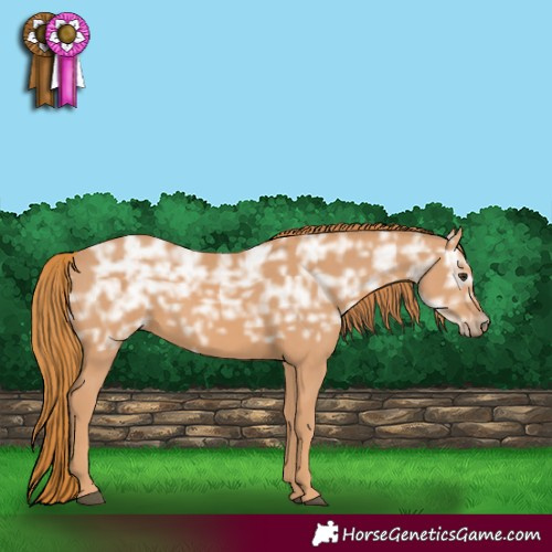 Horse Color:Chestnut Ice 