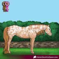 Horse Color:Chestnut Ice 