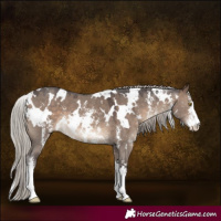 Horse Color:White Spotted Silver Brown Dun Sabino 
