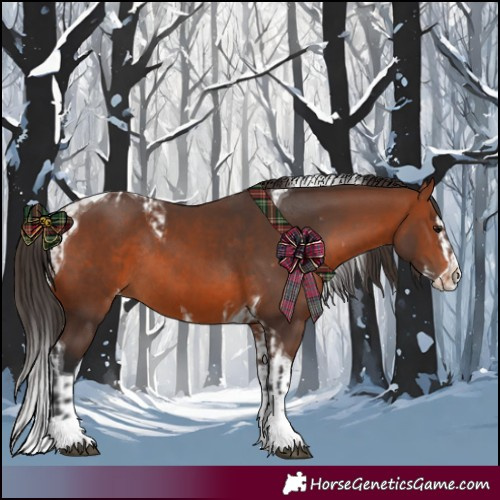 Horse Color:Bay Splash Tobiano Appaloosa  and Bay Splash Tobiano Appaloosa Rabicano 