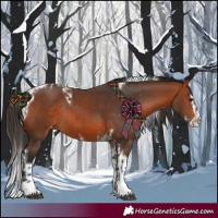 Horse Color:Bay Splash Tobiano Appaloosa  and Bay Splash Tobiano Appaloosa Rabicano 