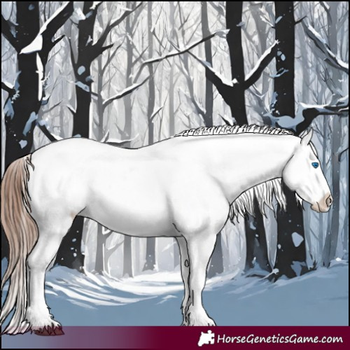 Horse Color:Bay Roan Splash Tobiano Appaloosa and Bay Roan Splash Tobiano Appaloosa