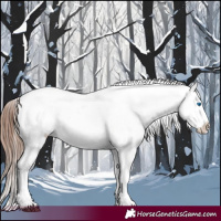 Horse Color:Bay Roan Splash Tobiano Near Leopard  and Bay Roan Splash Tobiano Near Fewspot 