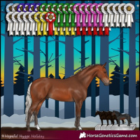 Horse Color:Silver Brown 