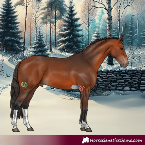 Horse Color:Bay Tobiano 
