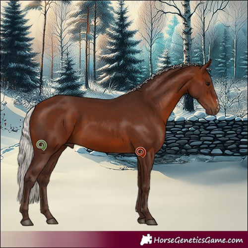 Horse Color:Silver Brown Sabino 