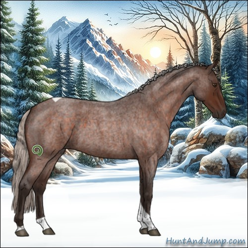 Horse Color:Silver Brown Roan Tobiano 