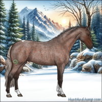 Horse Color:Silver Brown Roan Tobiano 