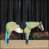 Horse Color:Watercolor Bay Frame
