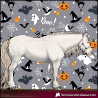 Horse Color:Smoky Creme Dun 