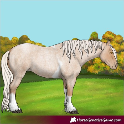 Horse Color:Silver Blue Roan Pearl Tobiano Frame 