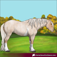Horse Color:Silver Blue Roan Pearl Tobiano Frame 