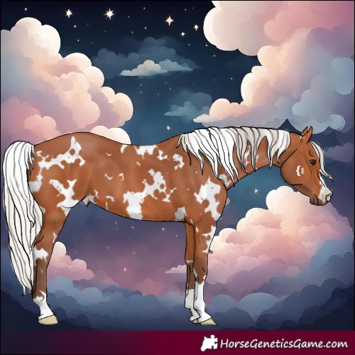 Horse Color:White Spotted Silver Bay 