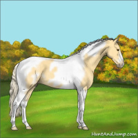 Horse Color:Palomino Dun Tobiano Frame 