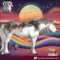 Horse Color:Gray White Spotted Silver Brown Mushroom Splash Tobiano Rabicano