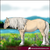 Horse Color:White Spotted Gold Cream Champagne
