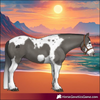 Horse Color:Grullo Splash Tobiano Frame