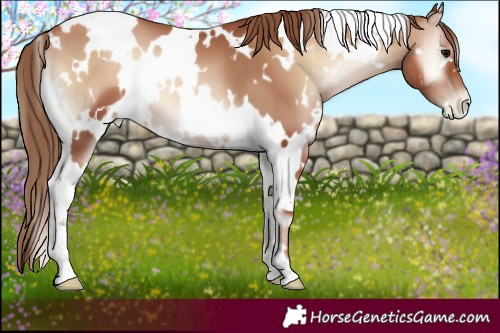 Horse Color:White Spotted Blue Onyx Pearl 