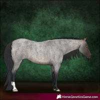 Horse Color:Brown Roan Dun 